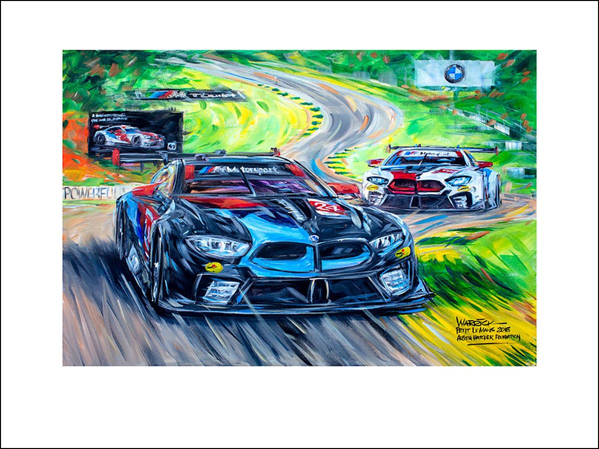 Petit Le Mans BMW 2018 LE